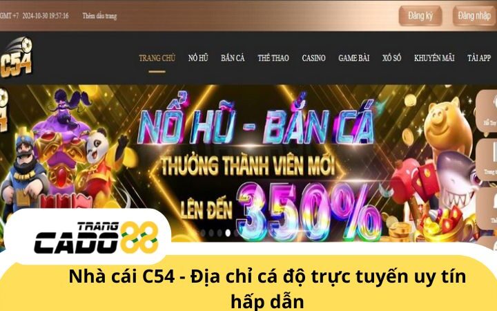 Nhà cái C54 - Trang cá độ bóng đá trực tuyến uy tín hấp dẫn