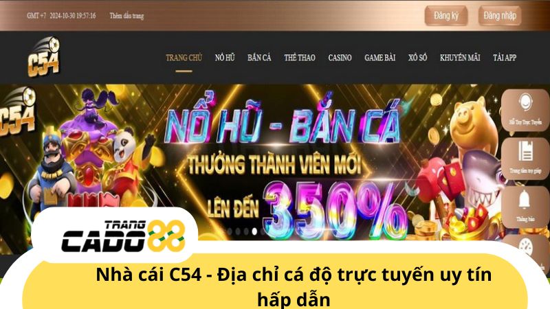 Nhà cái C54 - Trang cá độ bóng đá trực tuyến uy tín hấp dẫn