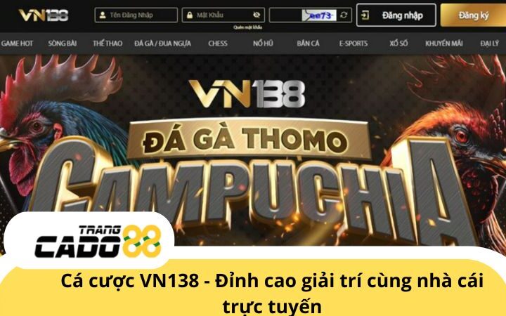 VN138 - Nhà cái cá cược trực tuyến được bet thủ yêu thích