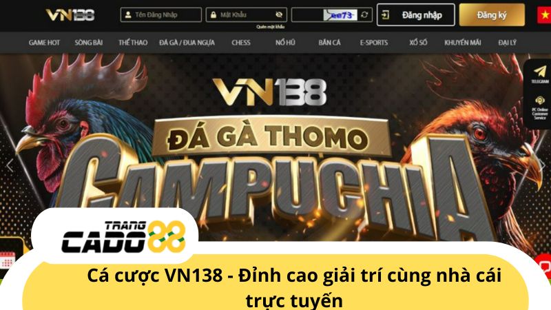 VN138 - Nhà cái cá cược trực tuyến được bet thủ yêu thích